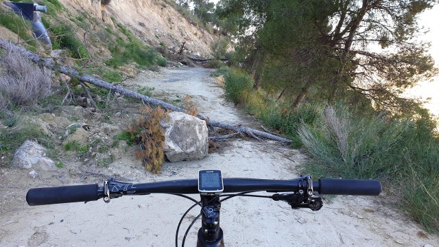 Investigadores de la UCAM desarrollan un algoritmo para detectar riesgos en los caminos del monte