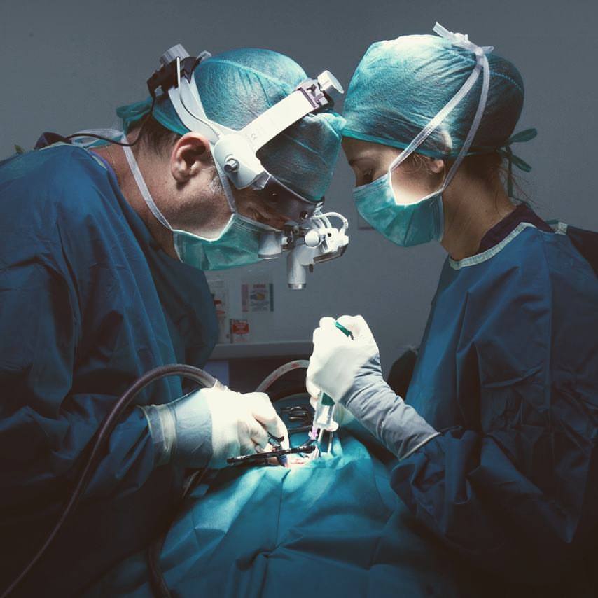 Abre en Valencia el primer hospital veterinario multidisciplinar de España especializado en el tratamiento integral del cáncer en mascotas