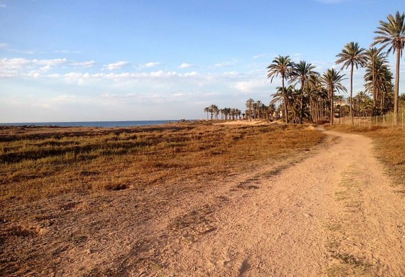 Ecologistes lleva al TSJ la modificación de la cañada real de Torrevieja para 'salvar' el suelo construido