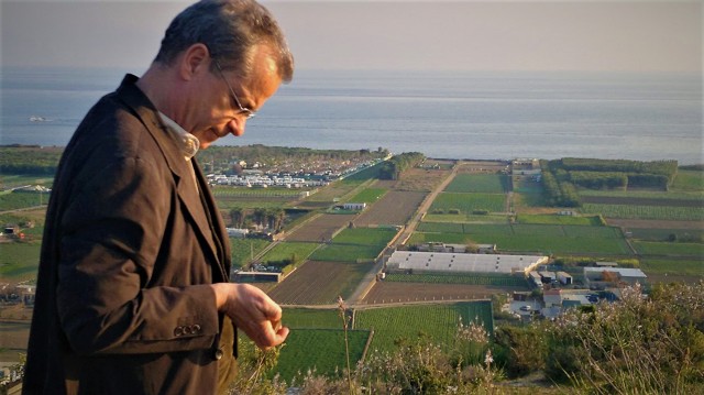 De la civilización Tartessos a las primaveras árabes: Casa Mediterráneo y la historia del Mare Nostrum