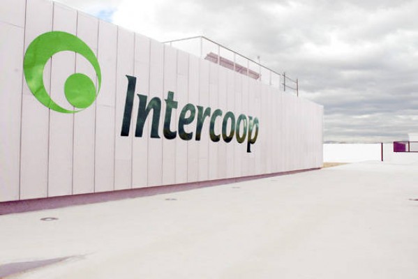 La Diputación edita con Intercoop una guía para promocionar 39 variedades de aceite de Castellón