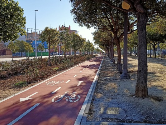 Elche completa un primer anillo ciclista del PMUS y perfila para 2021 la ronda interior hasta el hospital 