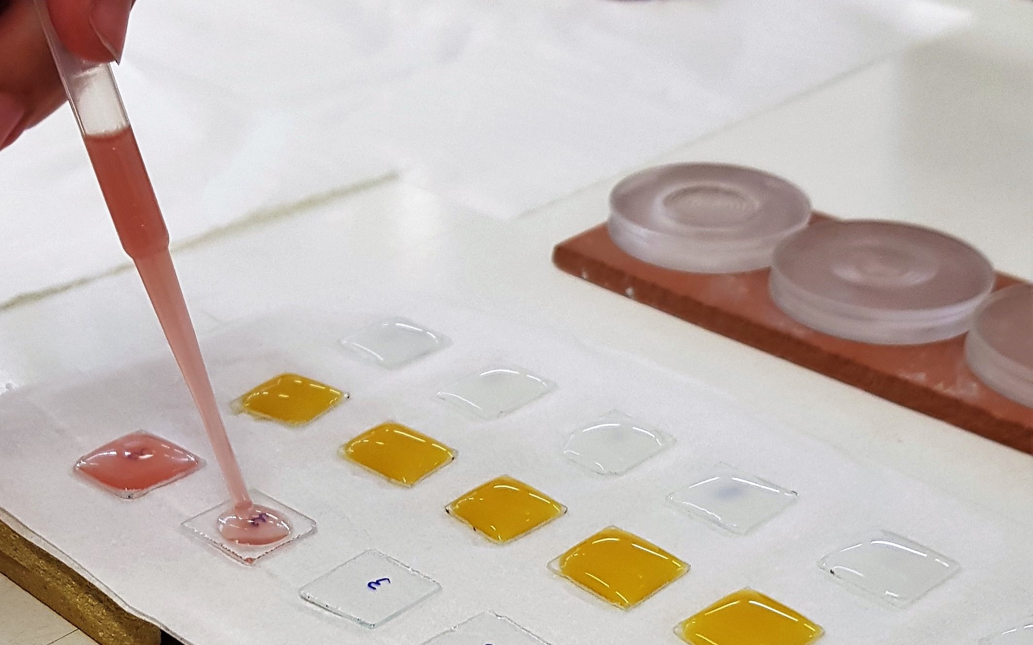 El ITC compite con 99 laboratorios internacionales en la caracterización de especies mineralógicas