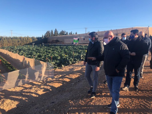 El Mirador aplica innovación y tecnología para reducir agua y fertilizantes en el Campo de Cartagena 