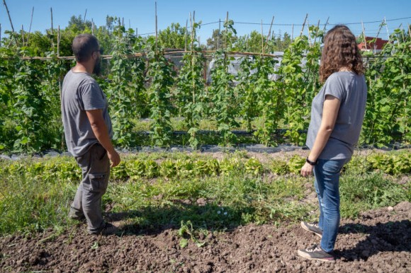La agricultura ecológica avanza en Castellón: crece un 3,8% en 2025 y multiplica por cuatro su superficie en una década 