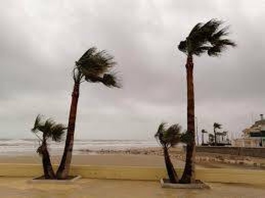 El Campo de Cartagena y Mazarrón, en alerta amarilla por fenómenos costeros: fin de semana de frío y viento