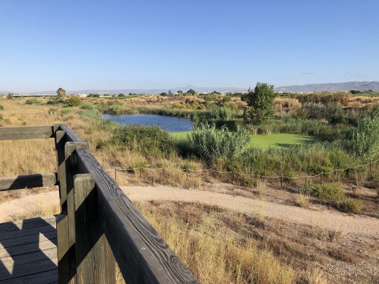 Almassora potenciará el turismo con la creación de una guía y dos aplicaciones