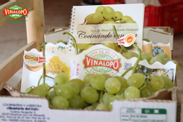 La uva del Vinalopó reina en las campanadas tras un año con balance positivo para la DOP