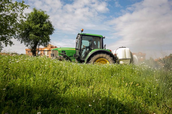 Abonados casi 42 millones de ayudas de la PAC a 9.000 agricultores y ganaderos de la Región