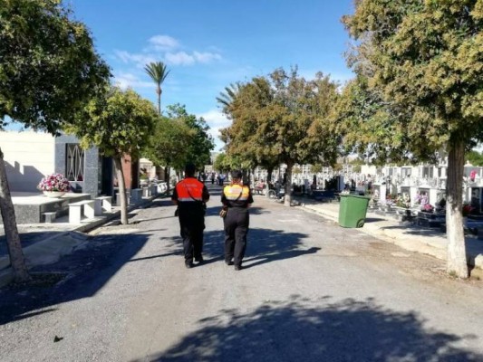 Consell y Alicante se coordinan para exhumar víctimas del franquismo con una sala de análisis