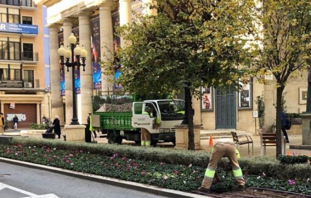 Alicante ratifica el relevo en la contrata de jardines con aumento de plantilla pese al recurso de Geamur
