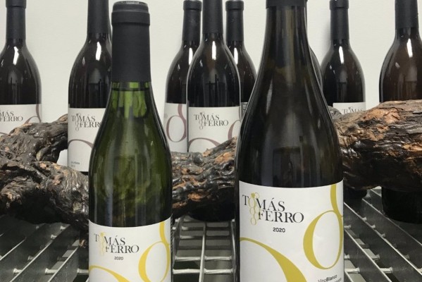 La UPCT elabora por primera vez vino dulce de la variedad Merseguera del Campo de Cartagena