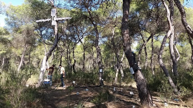 La UE invierte 4,4 millones para mejorar la resiliencia a incendios del Parc Natural del Túria
