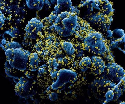 El ISCIII resume el conocimiento sobre el coronavirus en un informe científico-divulgativo