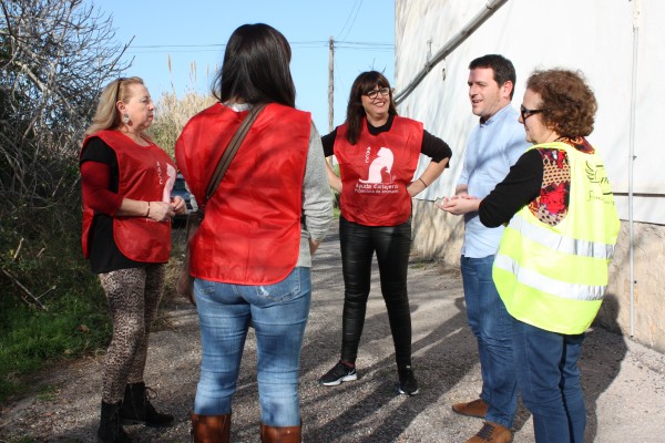 L’Ajuntament de Castelló col·labora amb les cures i tractaments veterinaris de 226 felins