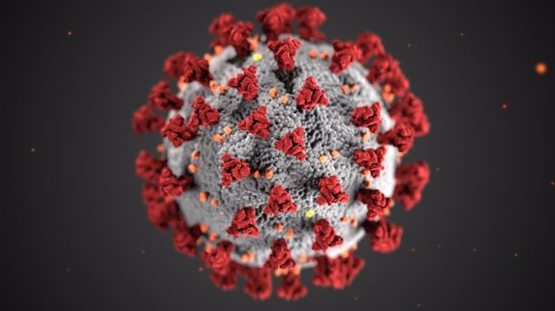 Investigadores valencianos no detectan la variante británica en muestras de 40 hospitales españoles