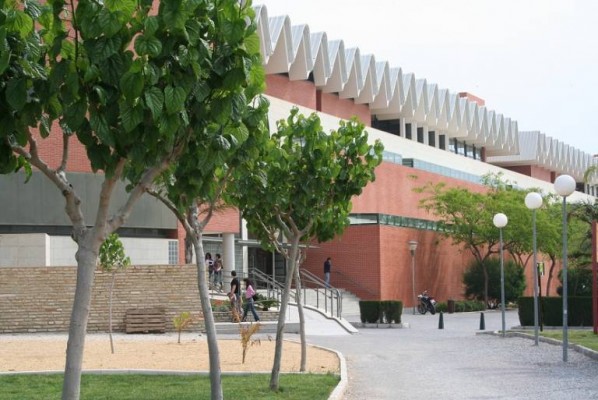 La UMH contratará una agencia de viajes: hasta cuatro años por un coste de más de 3 millones