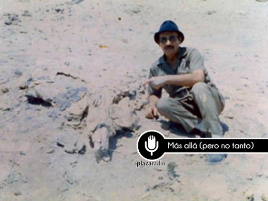 El misterio (inexistente) de las piedras de Ica