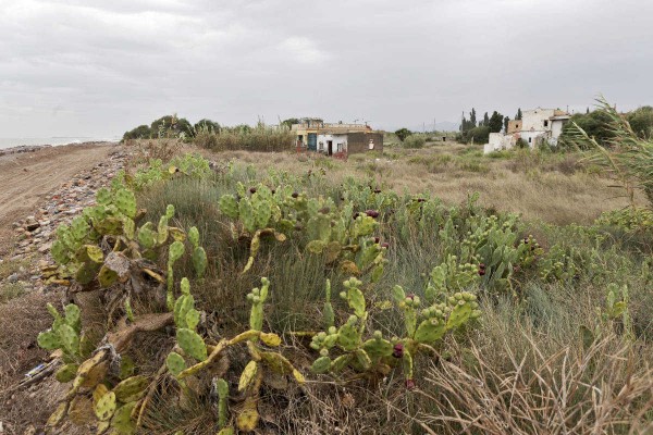 Borriana pretende ingresar 10 millones por sus terrenos en Sant Gregori para evitar gastos