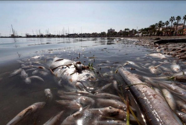 La UE destina cuatro millones a un proyecto en el Mar Menor que podrá predecir episodios de anoxia