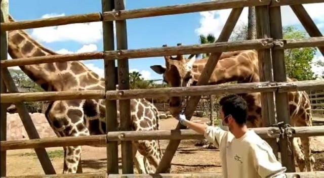 El Ayuntamiento de Murcia y Terra Natura ponen en marcha su 'Escuela de Navidad'