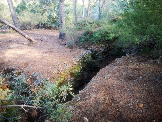 Almenara incorpora una partida de 20.000 euros en los presupuestos para Memoria Histórica