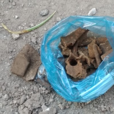 Las plataformas únicas en Elche destapan otra necrópolis en el barrio del Raval