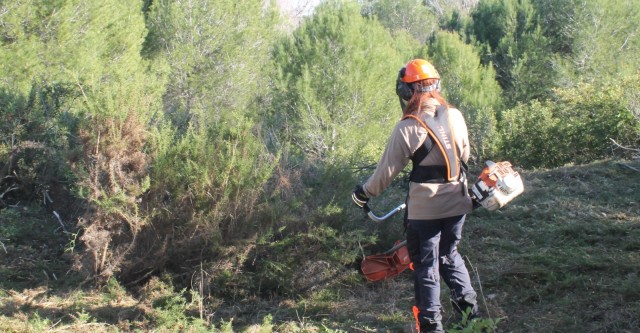 Guardian inicia los trabajos de gestión forestal para prevenir incendios en el Parque Natural del Turia