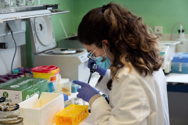 El CSIC lanza al mercado un nuevo test serológico de anticuerpos con una fiabilidad cercana al 100%
