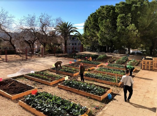 Tres experiencias innovadoras desde el cuidado del paisaje en la provincia de Alicante 