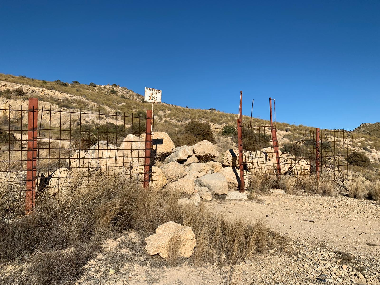 Cs Elche considera que se 