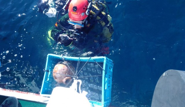 Recuperan una botija andaluza y una culebrina del siglo XVI en aguas de la isla del Fraile
