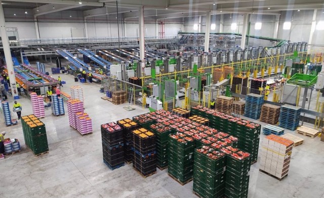 GPF Capital crea el líder europeo del limón para tratar de competir en cítricos con Martinavarro