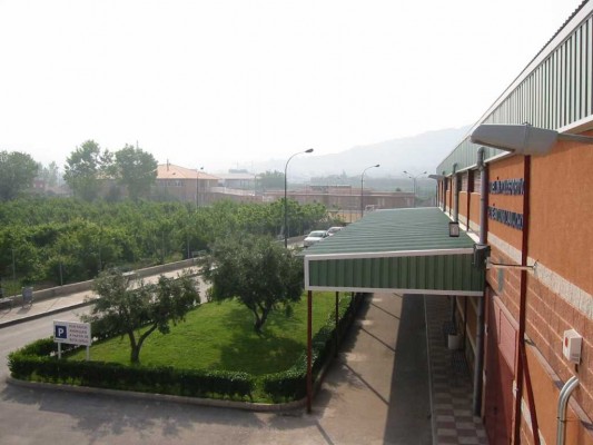 El colegio Severo Ochoa de Murcia, el primero de España que plantará un bosque con Treedom