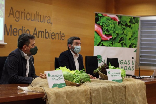 Lanzan una campaña promocional de lechugas y ensaladas de la Región para incentivar su consumo