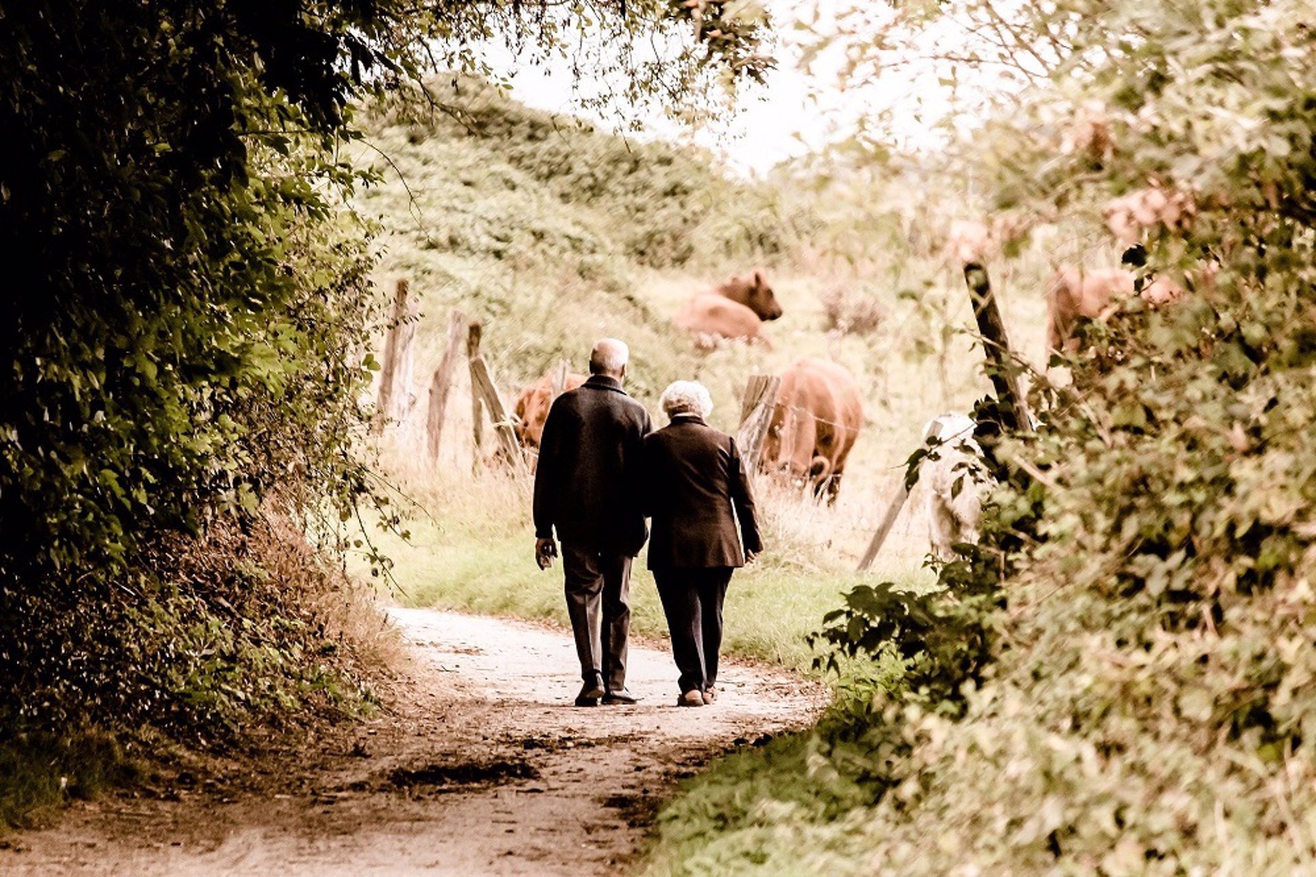 La edad legal de jubilación subirá a 66 años desde enero y la pensión se calculará con 24 cotizados