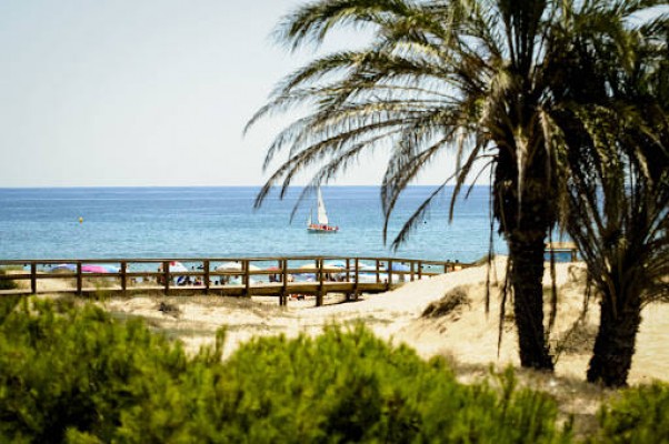 El Consell colabora con VisitElche para potenciar la promoción turística de la ciudad: convenio de 130.000 euros 