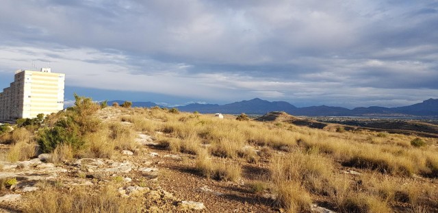 Alicante y los promotores de Lomas del Garbinet corrigen el proyecto: de chalés a 930 pisos en torres