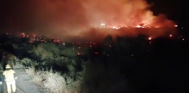 Un incendio arrasa tres hectáreas de viveros de palmeras en Elche
