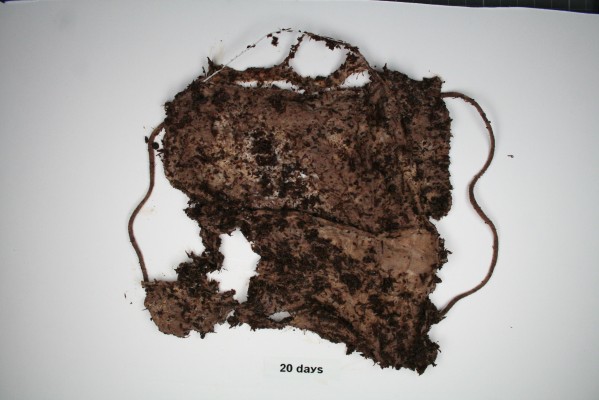 La UJI colabora en el lanzamiento de la primera mascarilla biodegradable