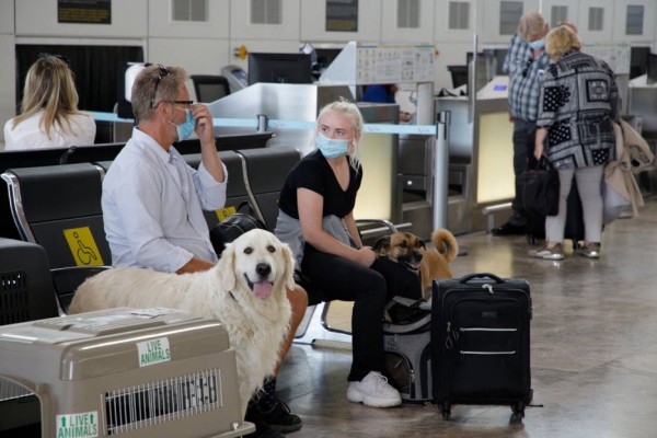 Cómo venían los turistas antes del virus: el 80% de los extranjeros en avión; los nacionales en coche