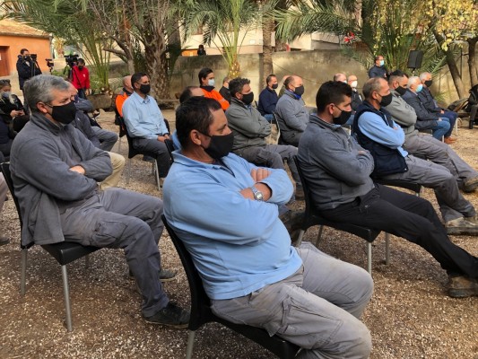 Elche homenajea a sus palmereros: recibirán la medalla de plata del Bimil·lenari el 
Día de la Constitución
