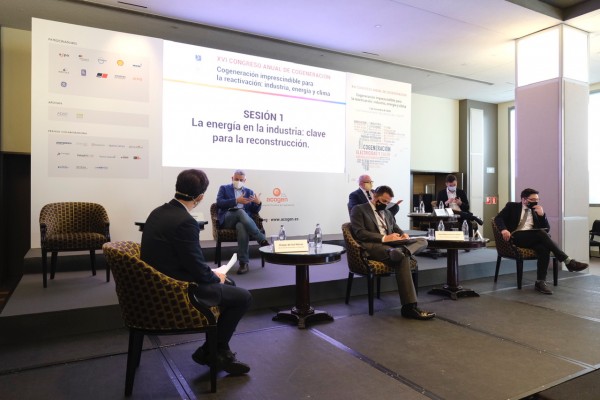 La transformación al gas renovable e hidrógeno se postula como única alternativa en la cogeneración