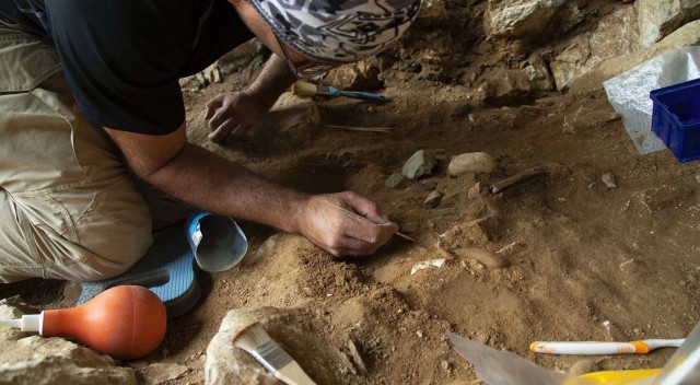 Los pulgares de los neandertales se adaptaron para sostener herramientas con mango
