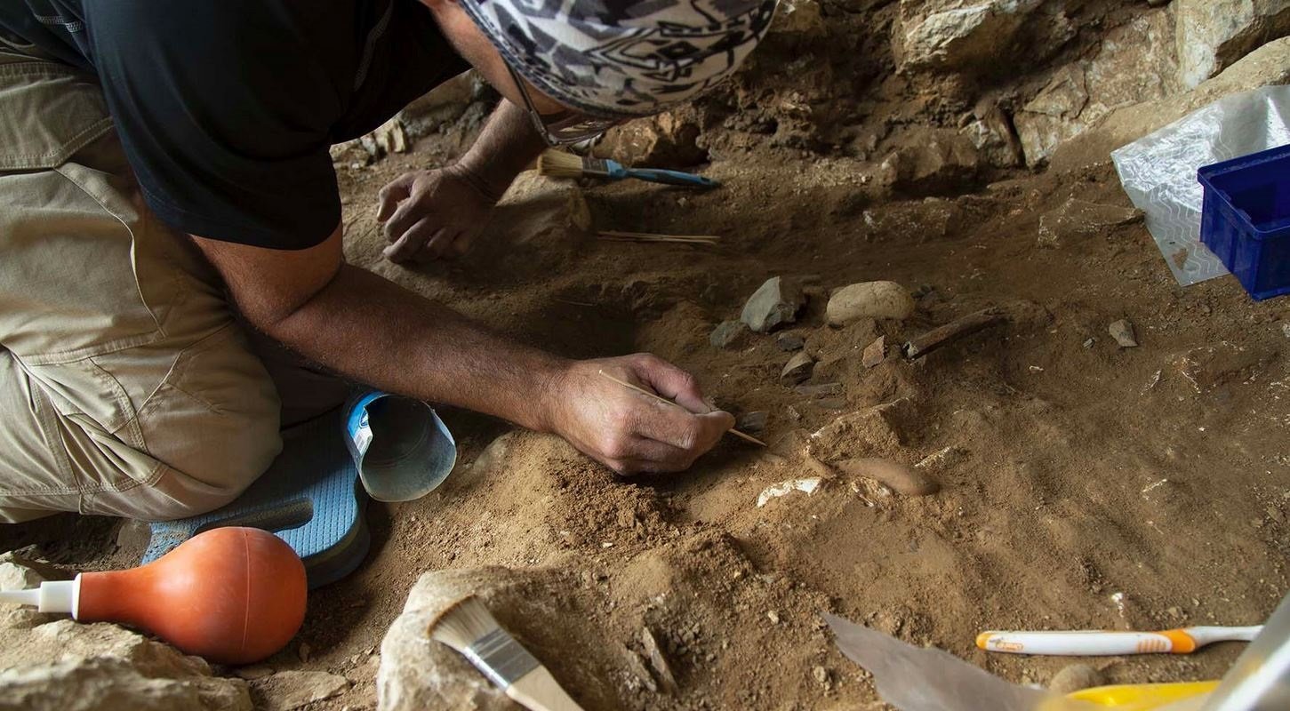 Los pulgares de los neandertales se adaptaron para sostener herramientas con mango
