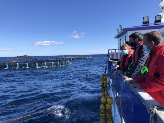 Lanzan ayudas de hasta 450.000 euros para la acuicultura