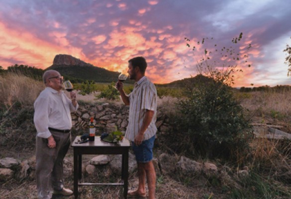 'El equilibrio perfecto', el documental de la DOP Jumilla sobre la tierra, el clima y la vid