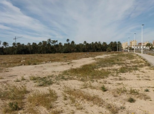 Oleada de aspirantes para construir el Virgen de la Luz, el CEIP 37 y obras en el López Orozco de Elche