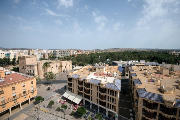El Jurídic Consultiu insta al Consell a aclarar las protecciones del Palmeral en el anteproyecto de ley
