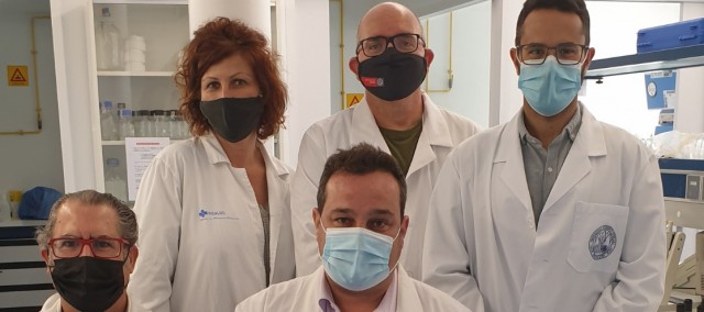 Implantan un nuevo tipo de lengua en roedores que abre la puerta para la reconstrucción de las humanas tras un cáncer